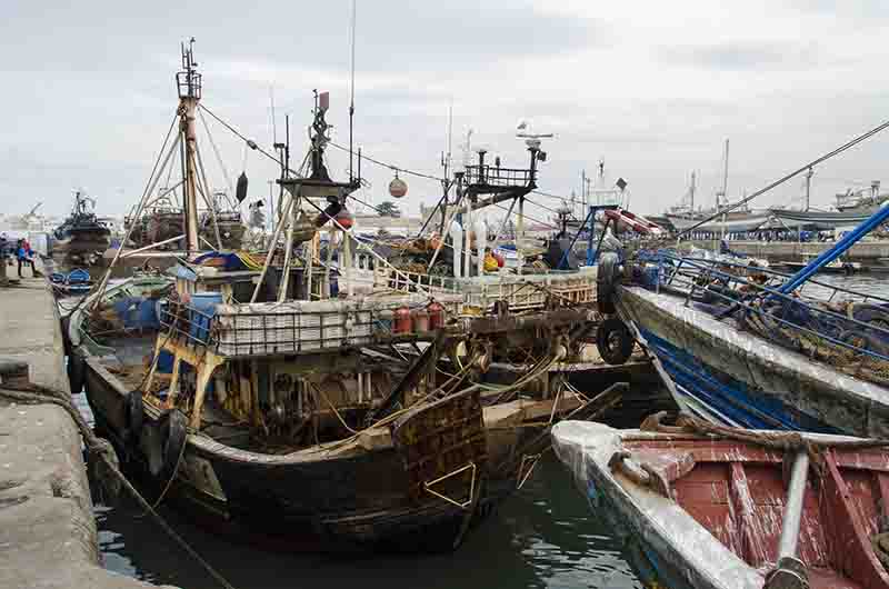 285 - Marruecos - Essaouira - puerto pesquero